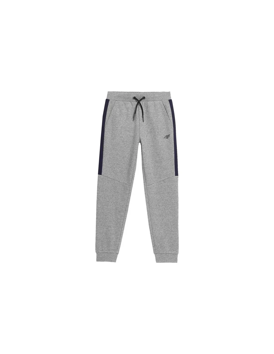 Pantalones 4F JSPMD002 Niño Gris
