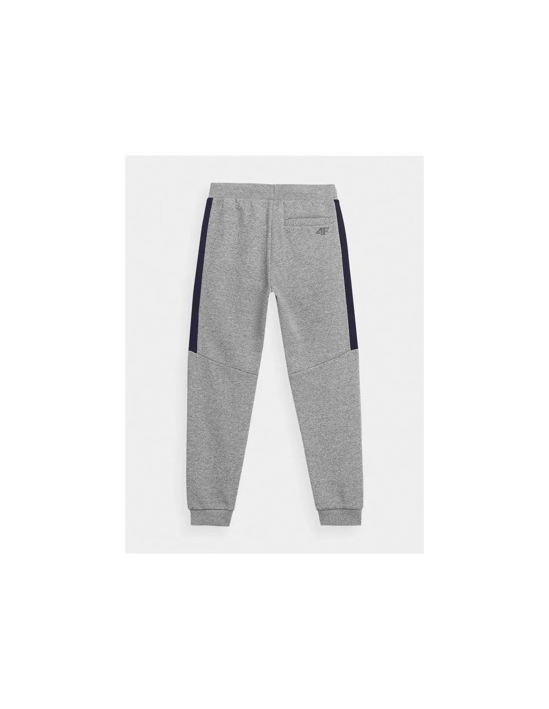 Pantalones 4F JSPMD002 Niño Gris