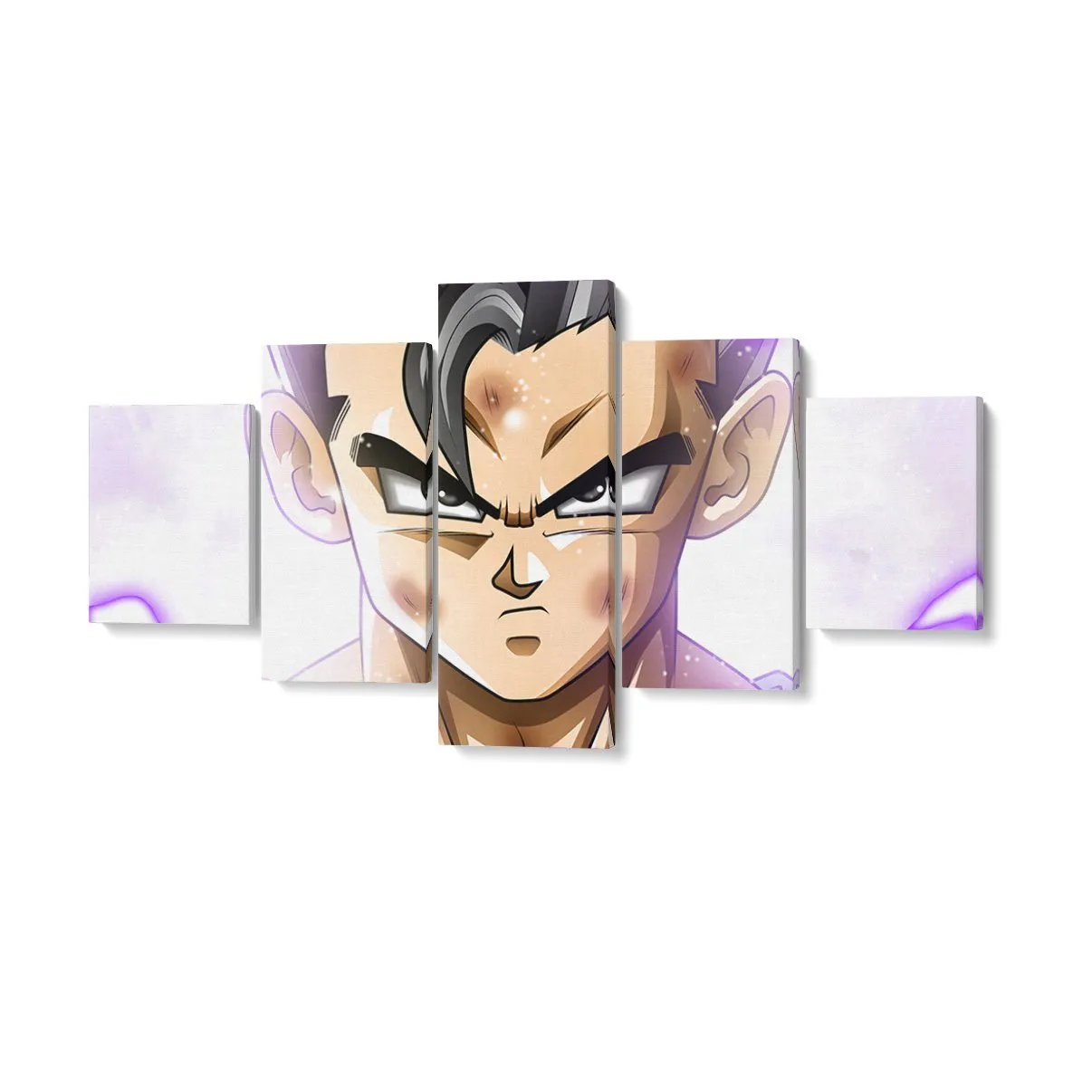Pintura DBS Gohan Ultra Instinto