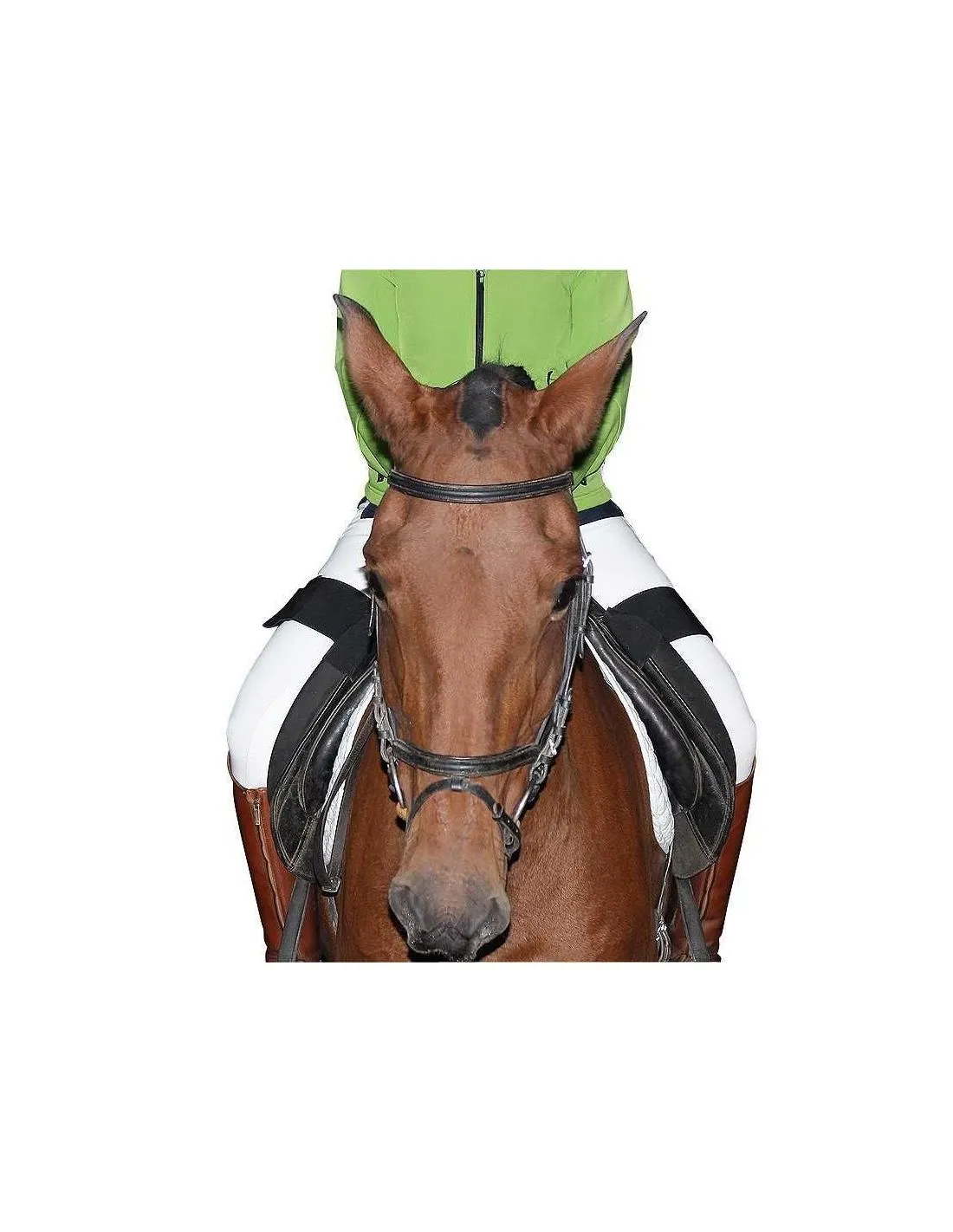 RIDING SECURITY BAND